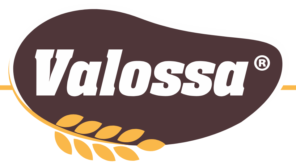 Valossa